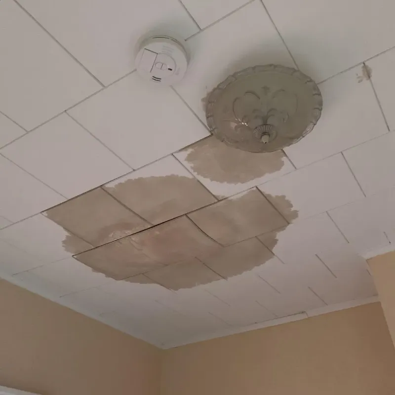 Ceiling Water Damage Repair in Calhoun County, GA