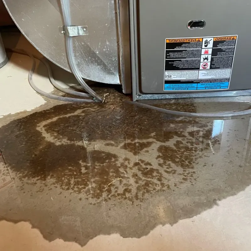 Pipe Burst and Leak Restoration in Calhoun County, GA