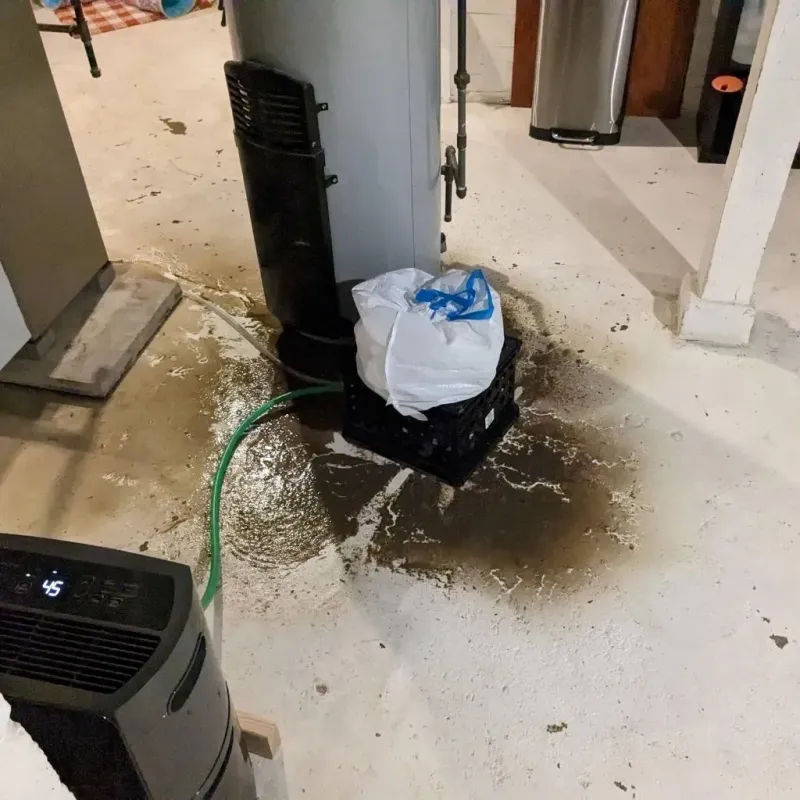 Sewage Backup Cleanup Service in Calhoun County, GA